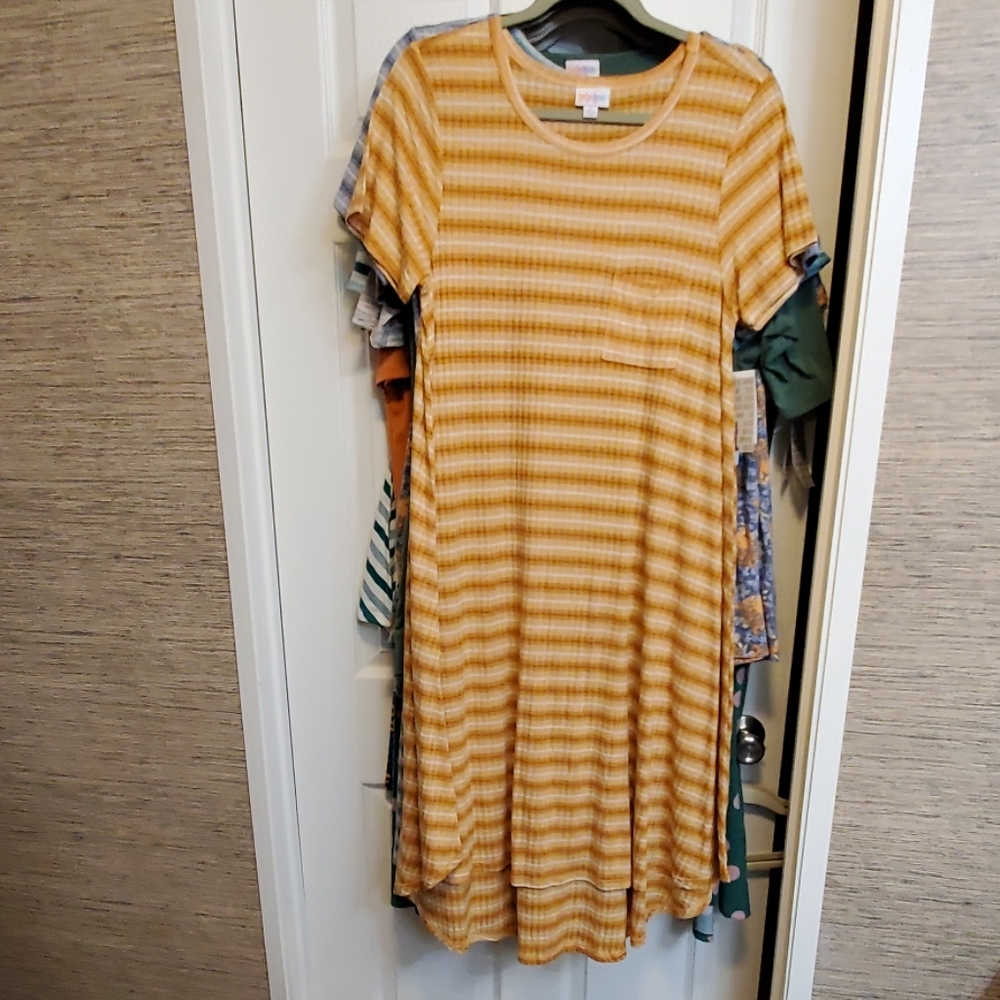 Large lularoe carly